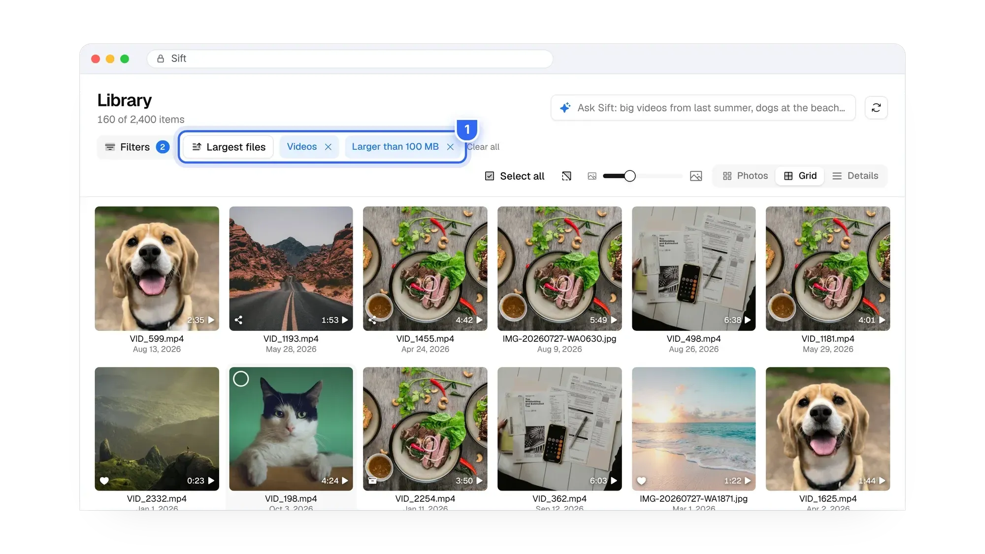 Sift library filtered to the largest files in Google Photos, videos larger than 100 MB
